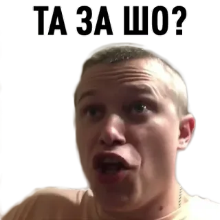 🤔 ТА-ЗА ШО? whatsapp sticker