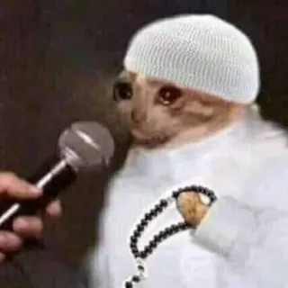 😭 cat, muslim, religion, microphone, prayer beads, meme telegram sticker