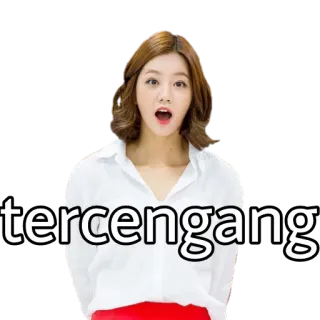 😦 tercengang 女性, びっくり, ショック, 唖然, 表情, 感情 whatsapp sticker