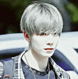 📰 person, male, portrait, silver hair, flannel, kpop, idol, asian telegram sticker