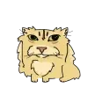 🐱