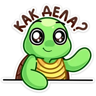 ❓ КАК ДЕЛА? turtle, cartoon, animal, greeting, russian, question, how are you whatsapp sticker