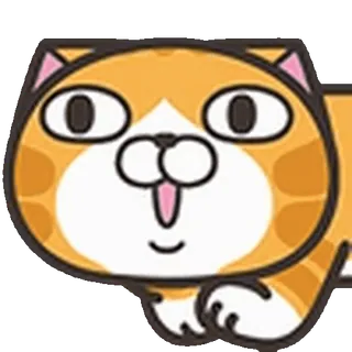🐱