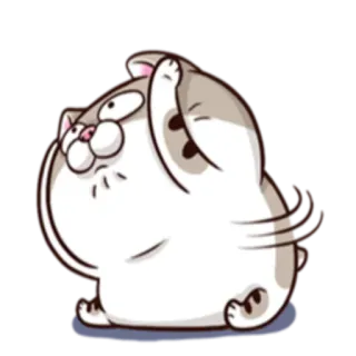 🤕 猫, 動物, ステッカー, 漫画, かわいい, 面白い telegram sticker
