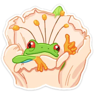 👸 żaba, kwiat, natura, zwierzę, kreskówka, uroczy, żaba czerwonooka telegram sticker