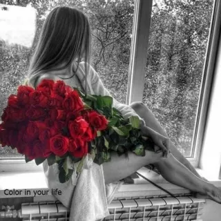 🎶 Color in your life roses, femme, fenêtre, couleur, vie, bouquet, rouge, fleurs telegram sticker
