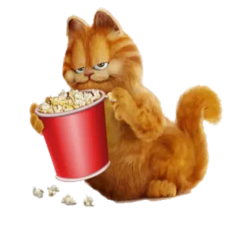 🍿 Garfield chat, dessin animé, Garfield, pop-corn, orange, animal, mignon, film whatsapp sticker