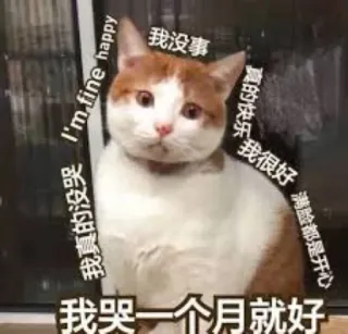🥲 我没事
我真的没哭 I'm fine happy
真的快乐多
我很好 满脸都是开心
我哭一个月就好 gato, meme, triste, divertido, sticker telegram sticker