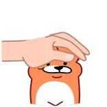 😌 doge, caricia cabeza, lindo, animal, perro, adorable telegram sticker