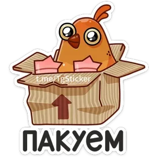 😊 ПАКУЕМ vogel, kip, doos, verpakking, sticker telegram sticker