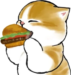 🍔 gato, gatinho, hambúrguer, comida, animal, fofo telegram sticker