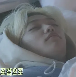 💤 로감으로 telegram sticker
