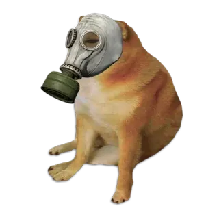🐶 หมา, Cheems, หน้ากากกันแก๊ส, มีม whatsapp sticker
