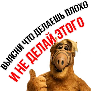 😅 Alf ВЫЯСНИ ЧТО ДЕЛАЕШЬ ПЛОХО
И НЕ ДЕЛАЙ ЭТОГО Alien, Série TV, Anos 80, Humor, Personagem telegram sticker