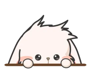 🙄 dễ thương, động vật, thỏ, nhìn trộm, kawaii, hoạt hình, mềm mại telegram sticker
