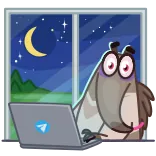 🧑‍💻 zwierzę, komputer, noc, okno, kreskówka telegram sticker