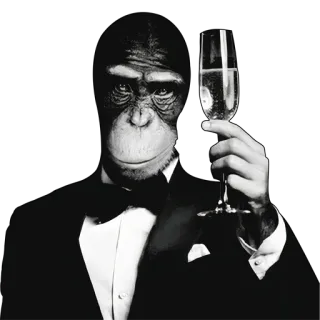 🍷 scimmia, scimmia antropomorfa, smoking, champagne, festa, celebrazione telegram sticker