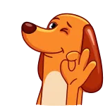 👌 개, 귀여운, 윙크, OK, 동물 telegram sticker