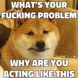 😔 WHAT'S YOUR FUCKING PROBLEM
WHY ARE YOU ACTING LIKE THIS doge, pies, mem, śmieszne, obraźliwe, shiba inu telegram sticker