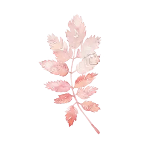 @wisdom_droplets cold season — @stckrRobot telegram stickers