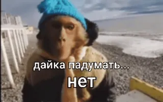 🌟 даика падумать...
НЕТ monkey, hat, beach, sea, no, russian telegram sticker