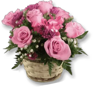 🌹 flowers, roses, bouquet, pink, basket, floral arrangement whatsapp sticker