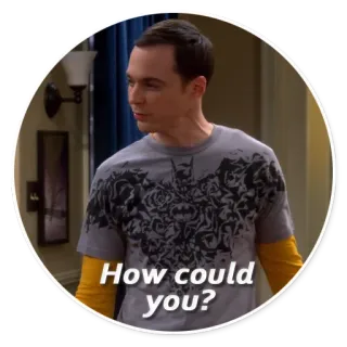 ❓ Sheldon Cooper The Big Bang Theory How could you? Serie TV, Sheldon, The Big Bang Theory, Jim Parsons, Comedia whatsapp sticker