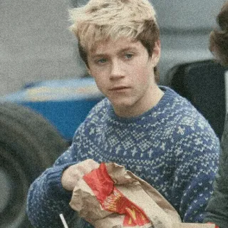 🥀 Niall Horan Niall Horan, One Direction, cantante, celebridad, McDonalds, pelo rubio telegram sticker