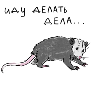 😩 opossum, marsupial, binatang, satwa liar telegram sticker