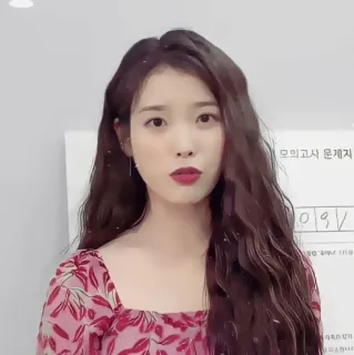 🪜 모의고사 문제지 IU, korean singer, woman, mock exam, problems telegram sticker