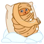 🥶 cat, blanket, wrapped, sleep, cute, pillow whatsapp sticker
