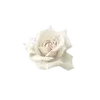 @waerstm telegram emojis 🌟