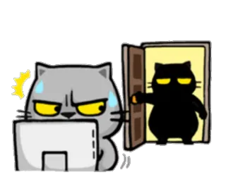 🤓 Katze, Sticker, Meme, Humor, Tier telegram sticker