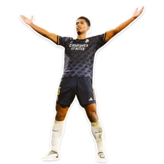 🫲 サッカー, フットボール, アスリート, 選手, スポーツ telegram sticker