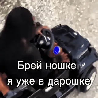 🥵 Chimpanzee Брей ношке я уже в дарошке telegram sticker