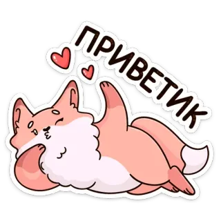 ❤️ ПРИВЕТИК 狐狸, 可爱, 动物, 贴纸, 问候, 卡通 telegram sticker