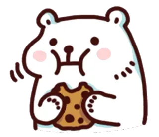 😋 urso, biscoito, comendo, desenho animado, fofo, animal, lanche whatsapp sticker