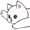 🐱