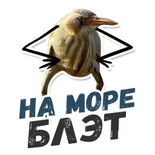 ⛵️ НА МОРЕ БЛЭТ 鸟, 贴纸, 搞笑, 俚语 telegram sticker