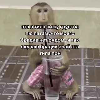 🐵 эта я типа сижу грустна
пю патамучто моего
брадка нет рядом.. я так
скучаю брадик знай эта
типа пон mono, triste, bebiendo, sentado, texto, ruso whatsapp sticker