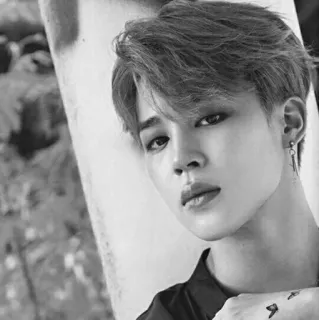⌚️ Jimin kpop, jimin, bts, penyanyi telegram sticker