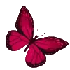 🦋