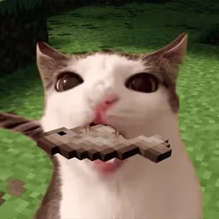 😋 Beluga Minecraft cat, beluga, minecraft, gaming, meme, funny, pixelated, eating telegram sticker