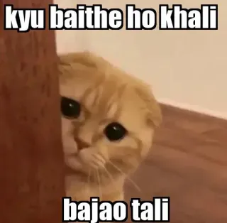👀 KYU baithe ho KHALI
bajao TALI gato, meme, gracioso, humor, juguetón, gatito, tierno telegram sticker