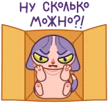 😤 kot, pudełko, zwierzę, kreskówka, naklejka telegram sticker