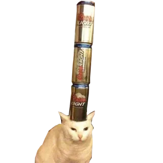 🍷 猫, クアーズライト, ビール, 動物, ペット whatsapp sticker