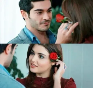 🌹 romance, couple, love, flower, rose telegram sticker