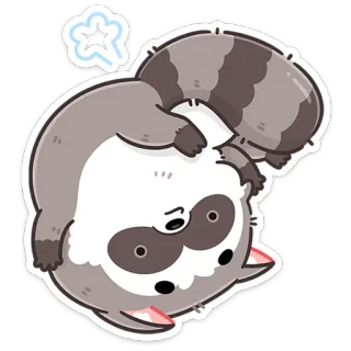 🙃 szop pracz, zwierzę, kreskówka, słodki, naklejka, wyczerpany whatsapp sticker