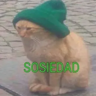 os melhores telegram stickers