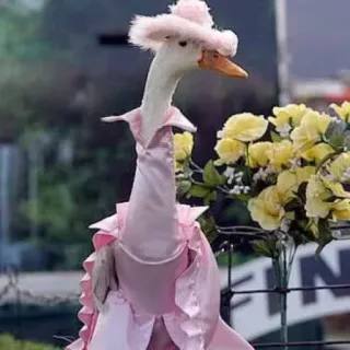 👄 goose, animal, dress, pink, flowers, hat whatsapp sticker